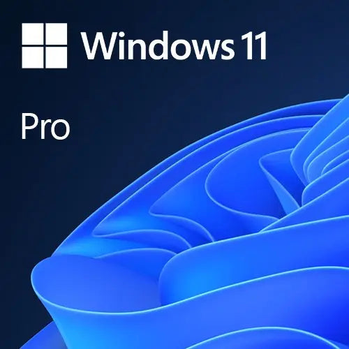 Microsoft Windows 11 Professional 64-bit, OEM DVD, Single Copy - X-Case